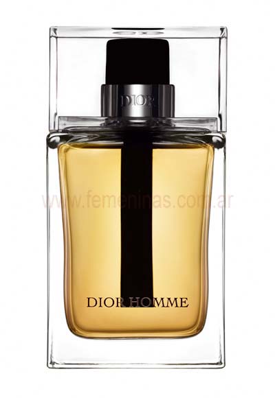 Perfume Dior Homme